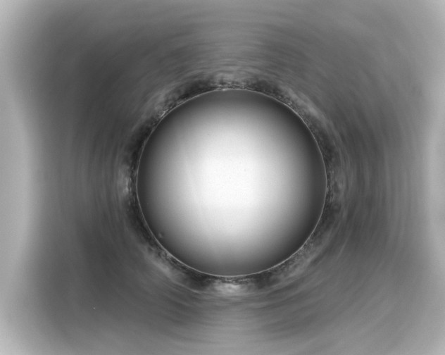 X0000116160706200911301601