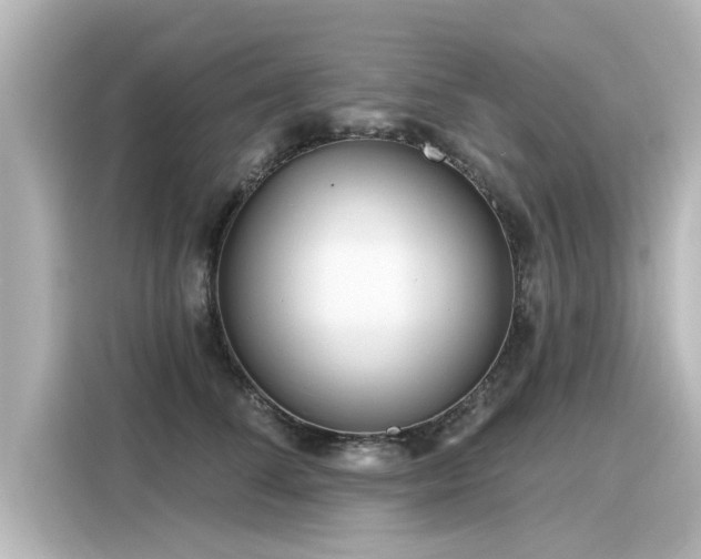 X0000116160708200911301601