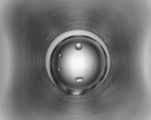 X0000116160709200911301601