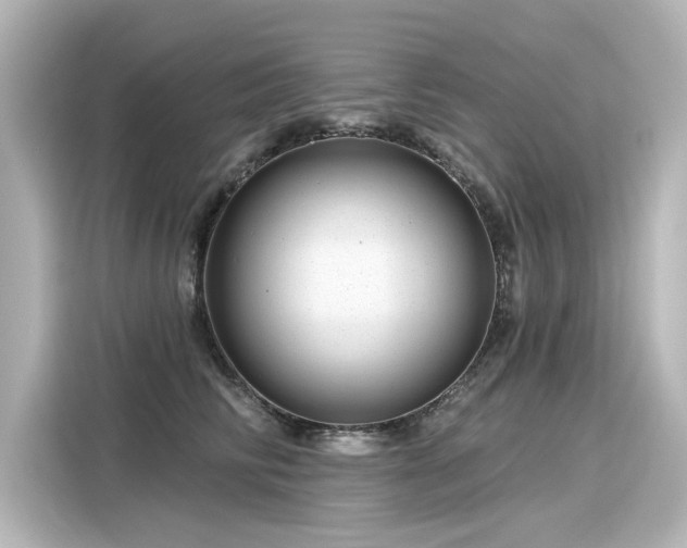 X0000116160710200911301601