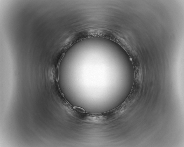 X0000116160712200911301601