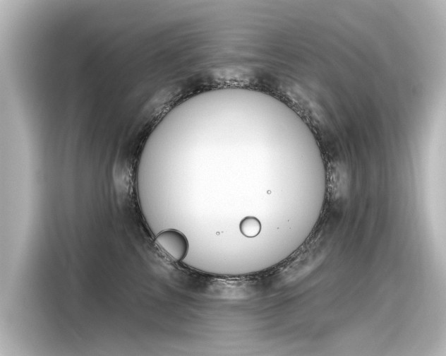 X0000116160713200911301601