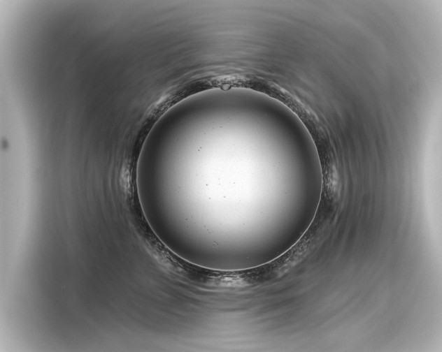 X0000116160715200911301601