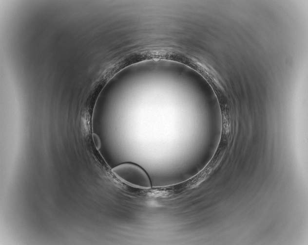 X0000116160718200911301601