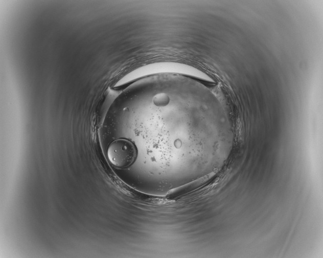 X0000116160719200911301601