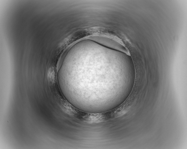 X0000116160720200911301601