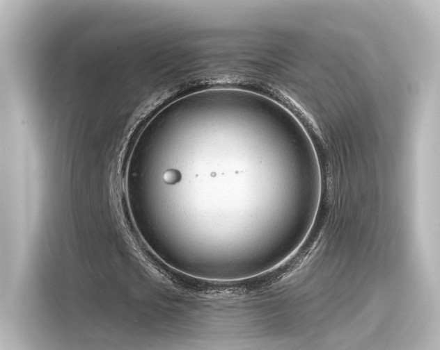 X0000116160721200911301600