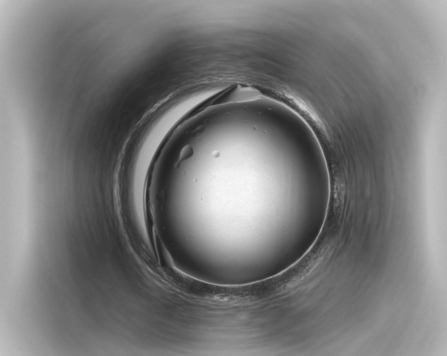 X0000116160722200911301600