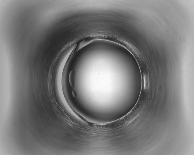 X0000116160723200911301600