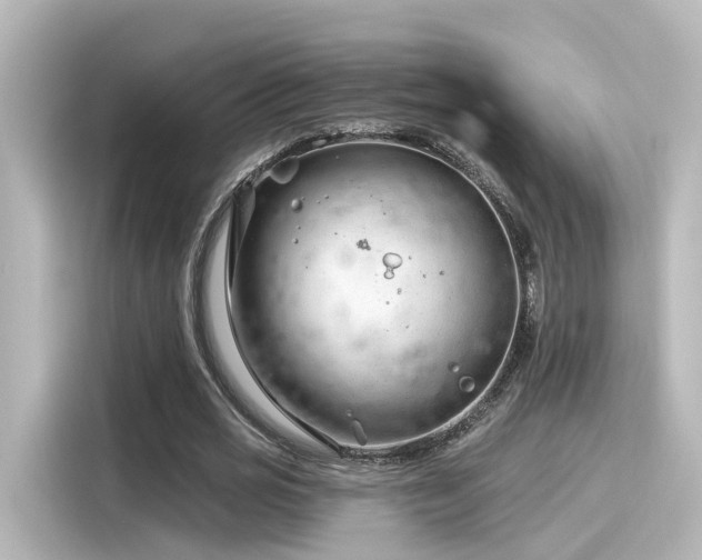 X0000116160725200911301600