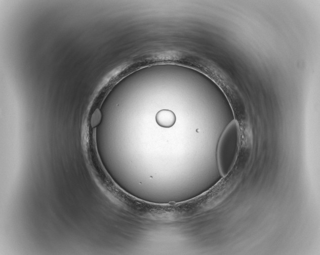 X0000116160726200911301600