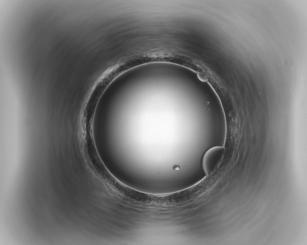 X0000116160727200911301600