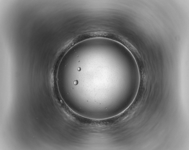 X0000116160729200911301600