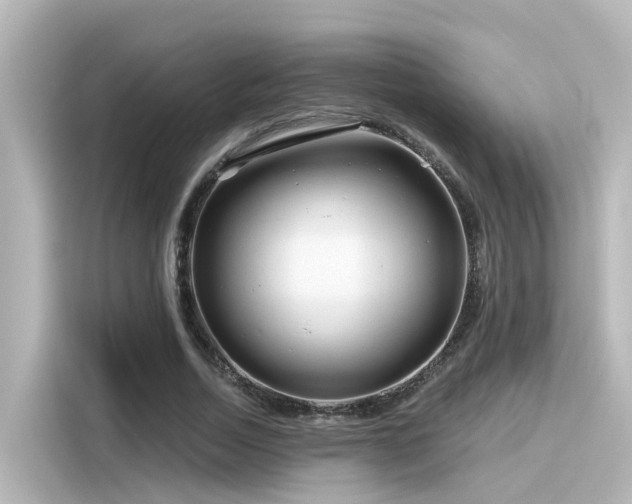 X0000116160730200911301601