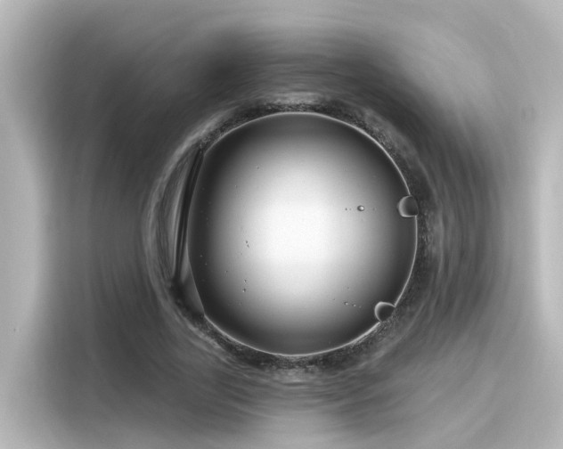 X0000116160731200911301601