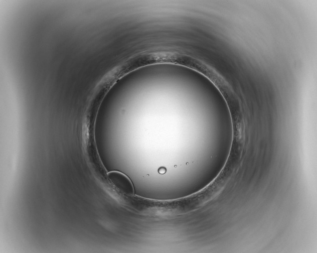 X0000116160733200911301601