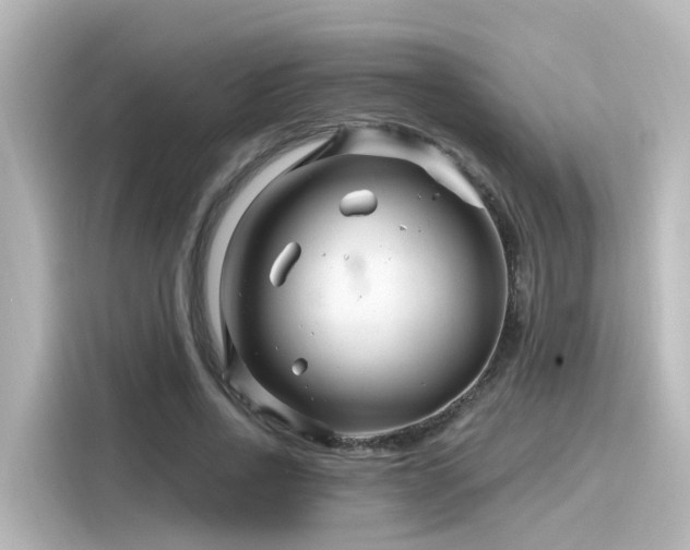 X0000116160734200911301601