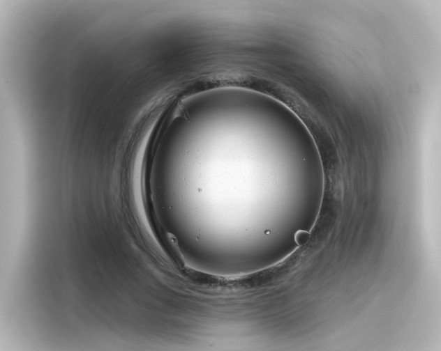 X0000116160735200911301601