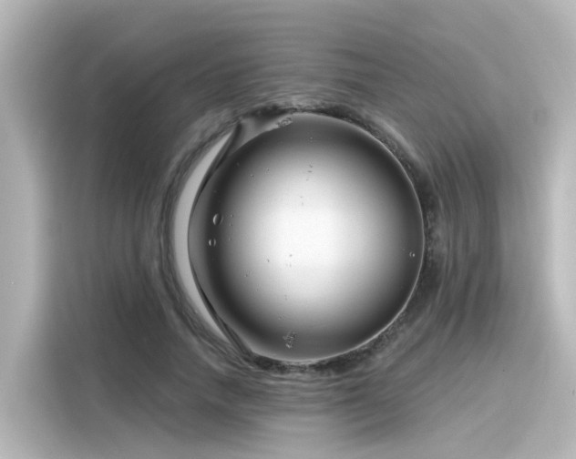 X0000116160738200911301601