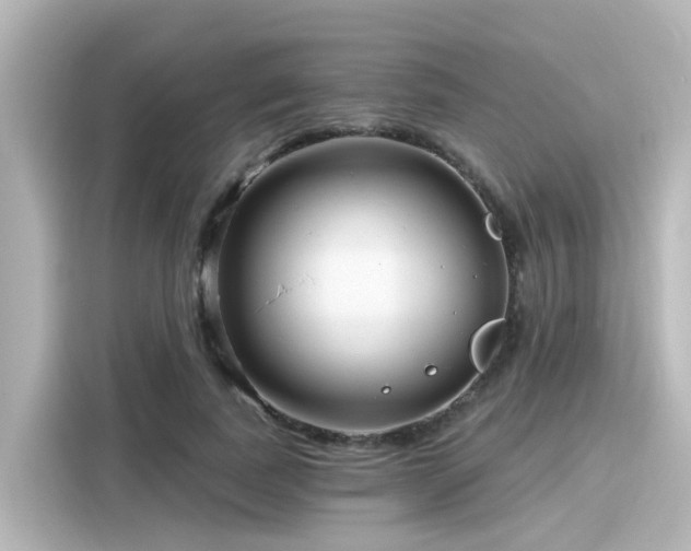 X0000116160739200911301601