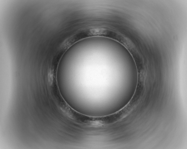 X0000116160741200911301601