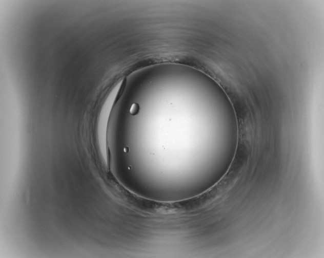 X0000116160742200911301601