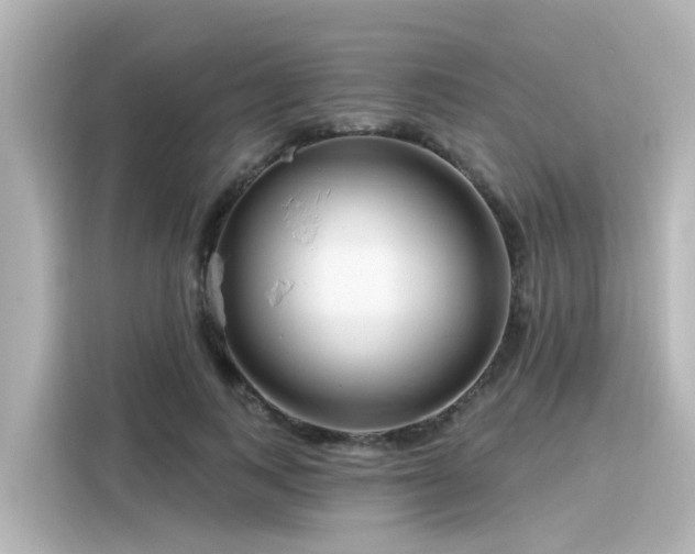 X0000116160743200911301601