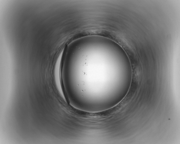 X0000116160746200911301601