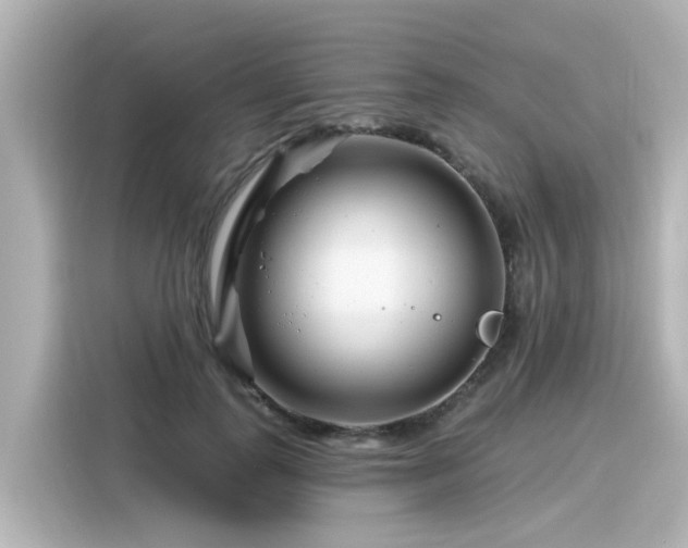 X0000116160747200911301601