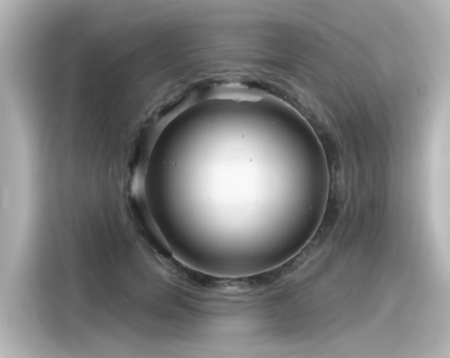 X0000116160750200911301601