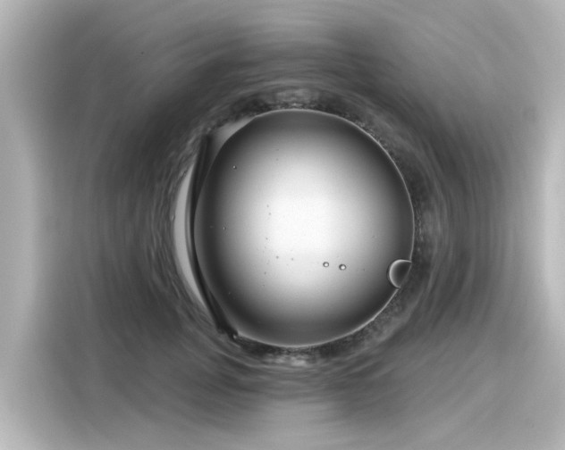 X0000116160751200911301601