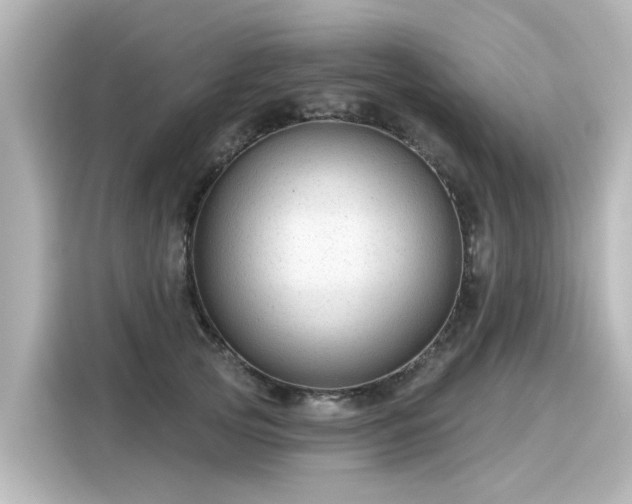 X0000116160753200911301601