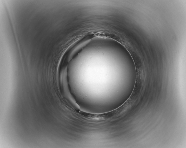 X0000116160754200911301601