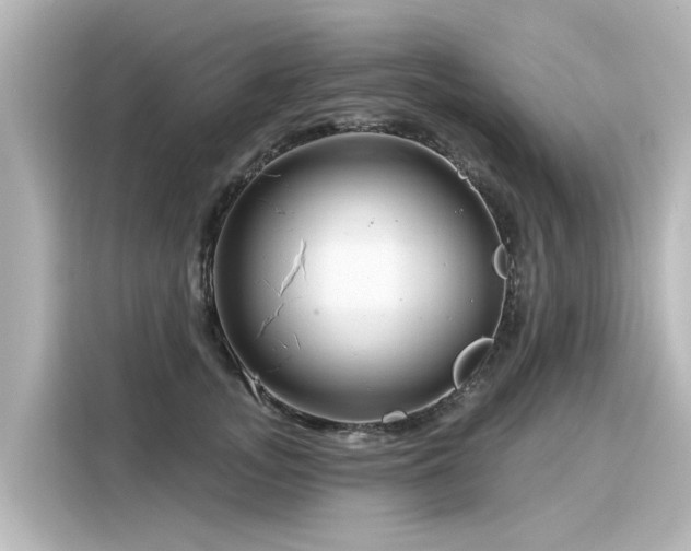 X0000116160755200911301601