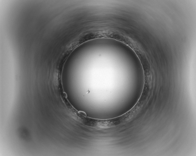 X0000116160757200911301601