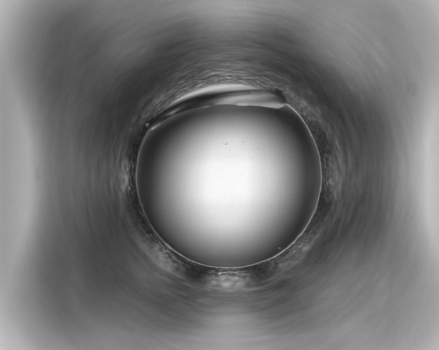 X0000116160758200911301601