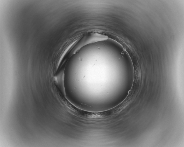 X0000116160759200911301601