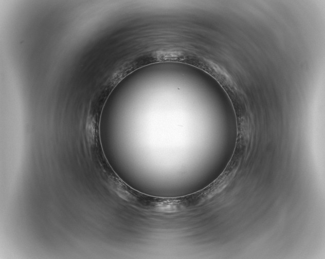 X0000116160761200911301601