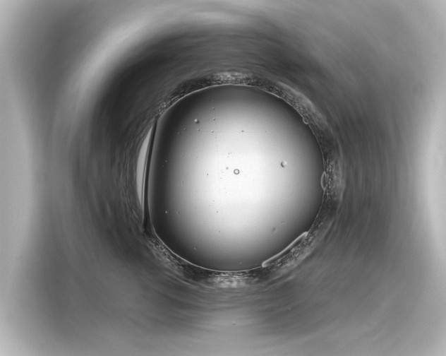 X0000116160762200911301601