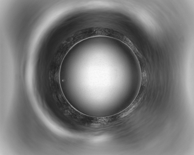 X0000116160765200911301601