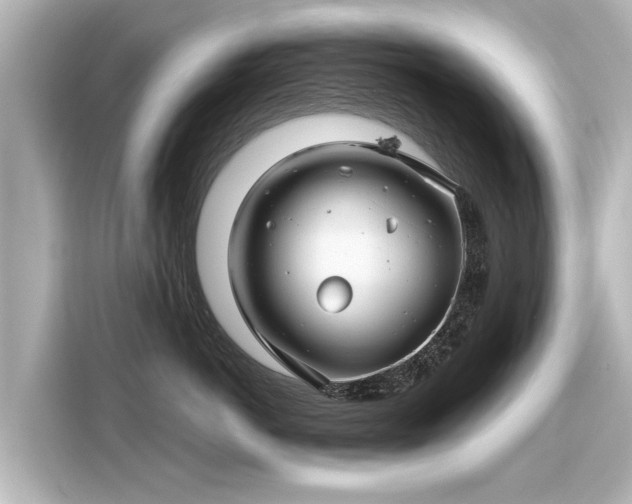 X0000116160766200911301601