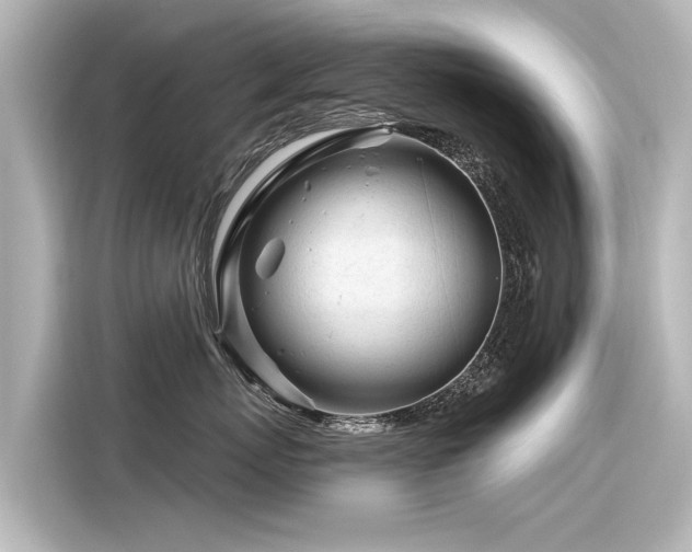 X0000116160767200911301601