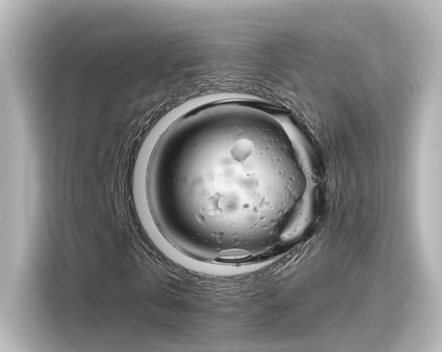 X0000116160769200911301600