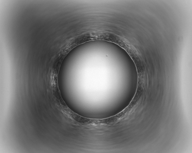 X0000116160770200911301600