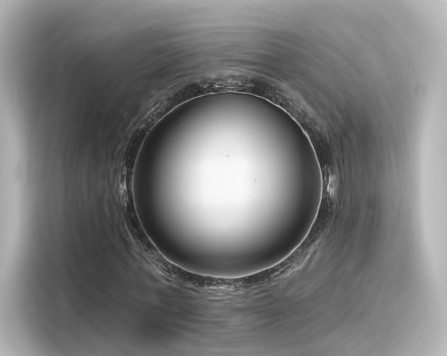 X0000116160771200911301600