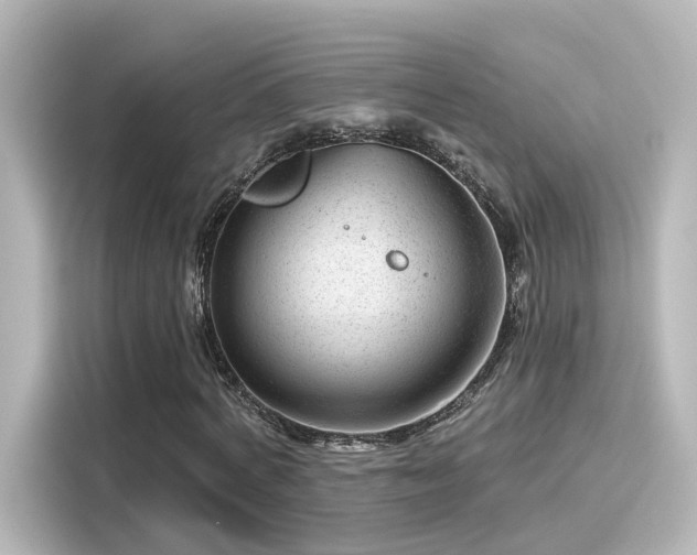 X0000116160772200911301600