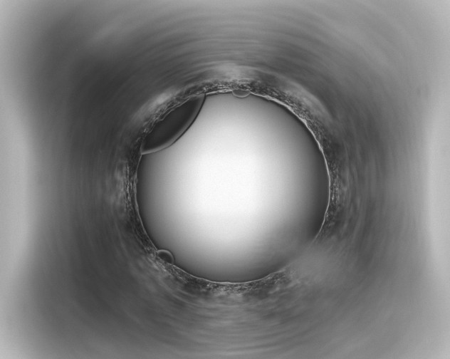 X0000116160773200911301600