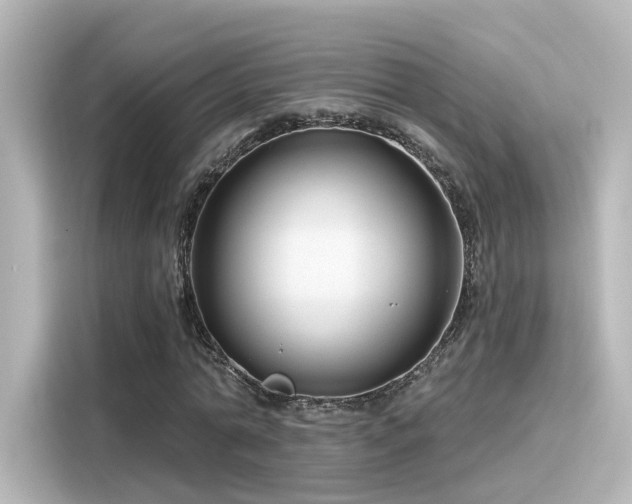 X0000116160774200911301600