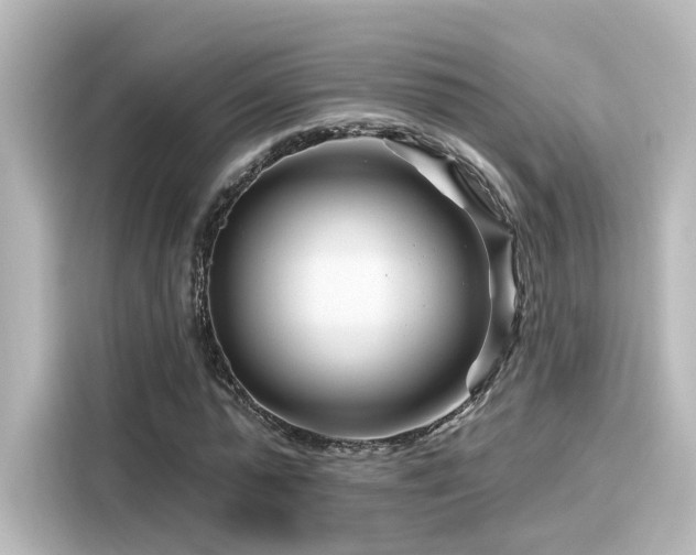 X0000116160775200911301600