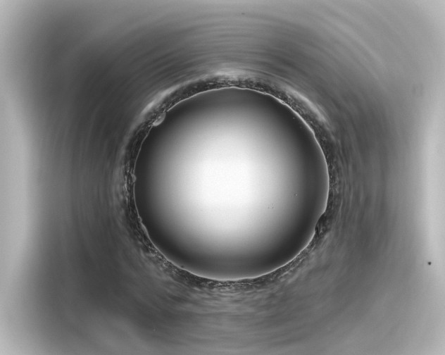 X0000116160776200911301600